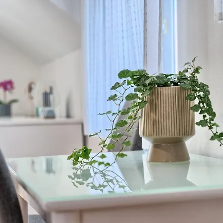 Loft Apartamento Split